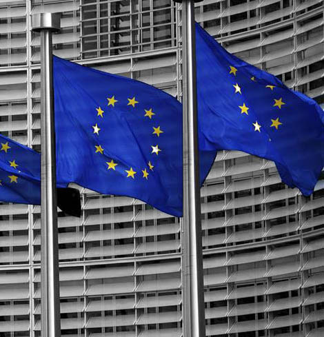 Parlamento Europeo informe Fernando Zunzunegui