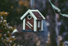 Financiarización y derecho a la vivienda, una relación controvertida